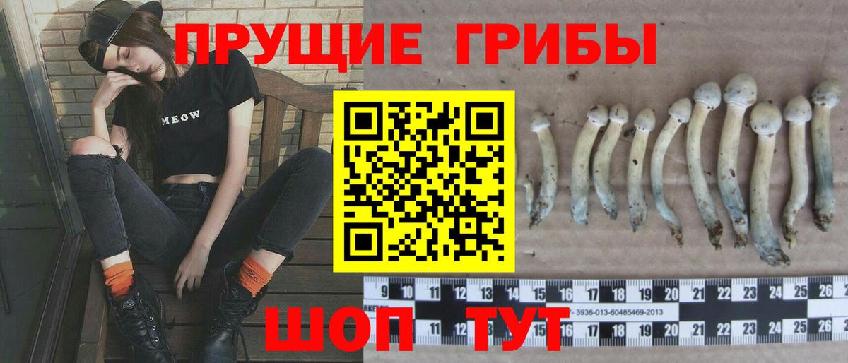 Ликино-Дулёво  Псилоцибиновые грибы мухоморы  Вход с VPN 